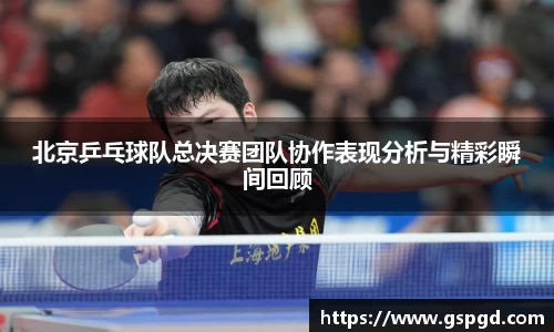 北京乒乓球队总决赛团队协作表现分析与精彩瞬间回顾