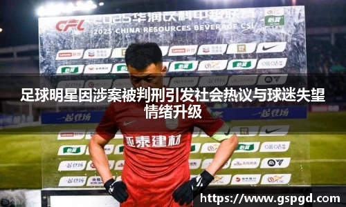 足球明星因涉案被判刑引发社会热议与球迷失望情绪升级
